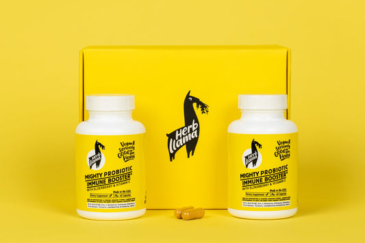 Harnessing the Power of Probiotics for Gut Health and General Wellness