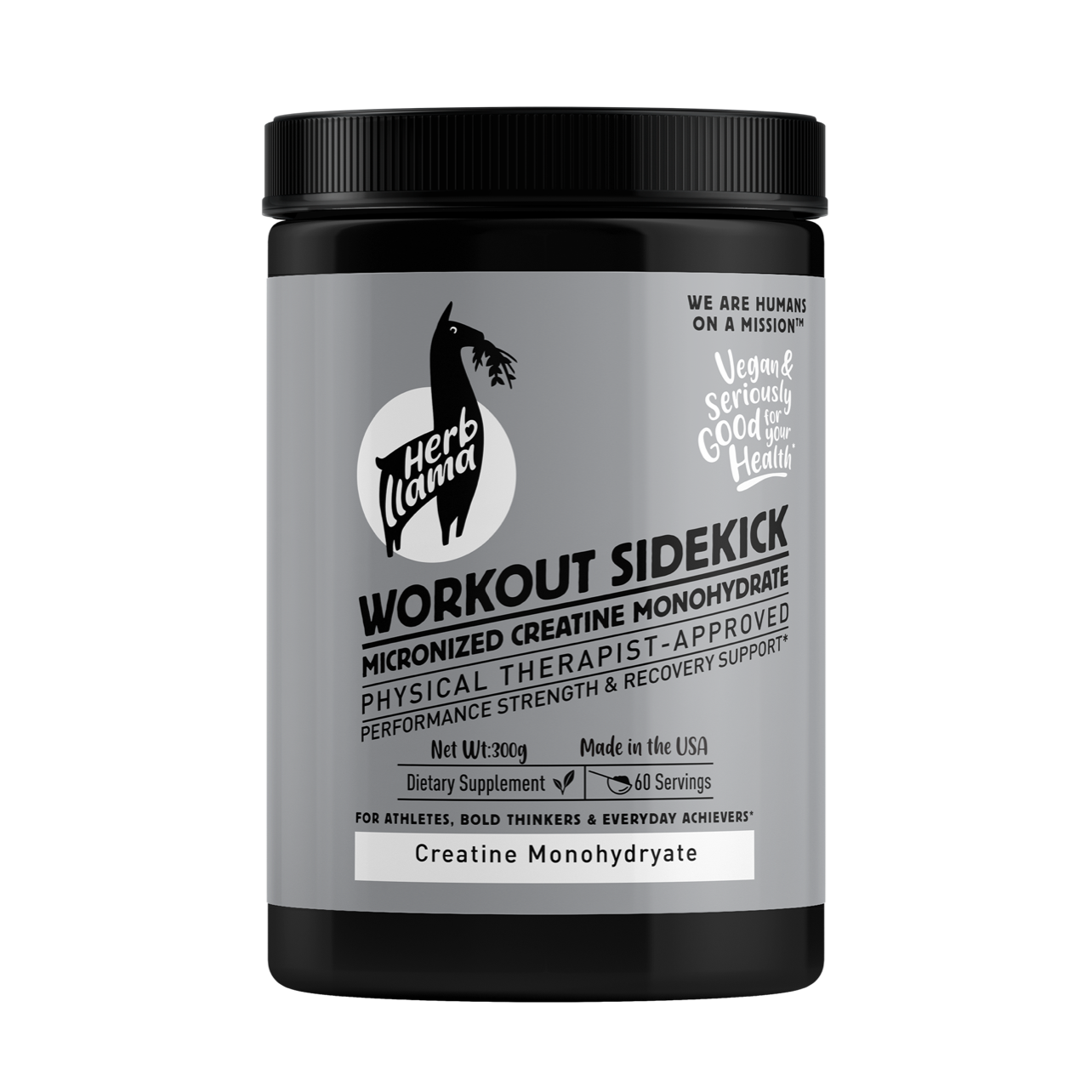 Gray supplement container with black lid labeled 'Workout Sidekick' on a white background