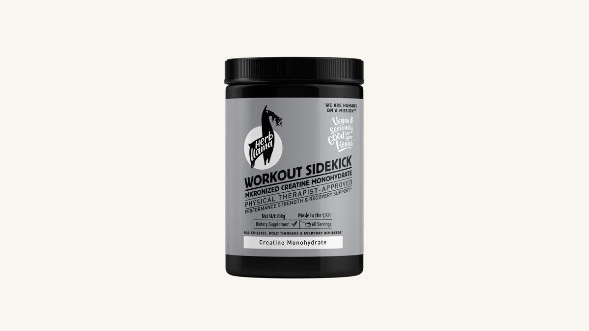 Micronized Creatine Monohydrate 5g | WORKOUT SIDEKICK™