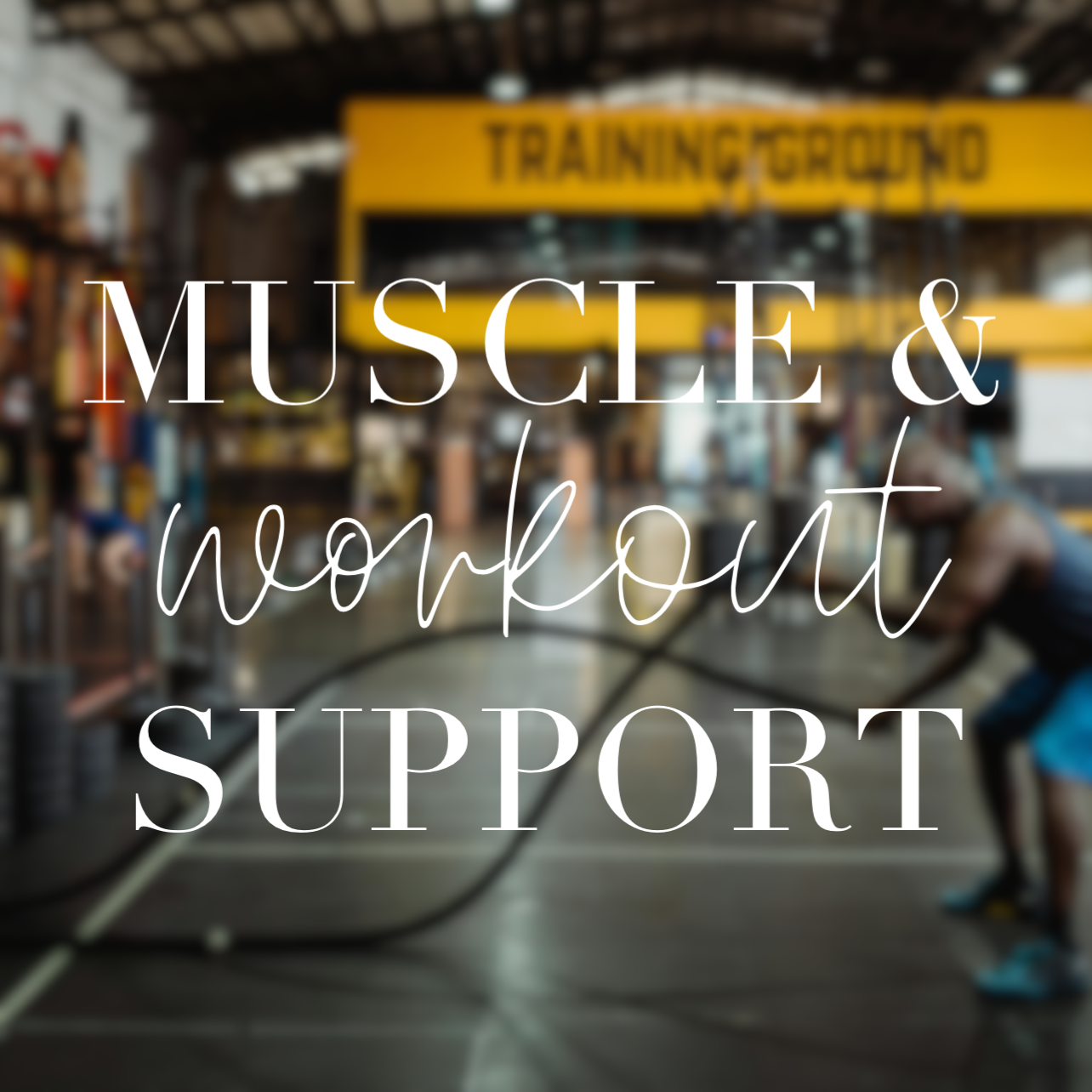 MUSCLE & WORKOUT SUPPORT