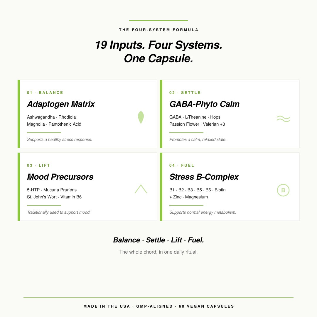 19 Adaptogen + Nootropic Stack  | Zen Warriors Peaceful Bliss™