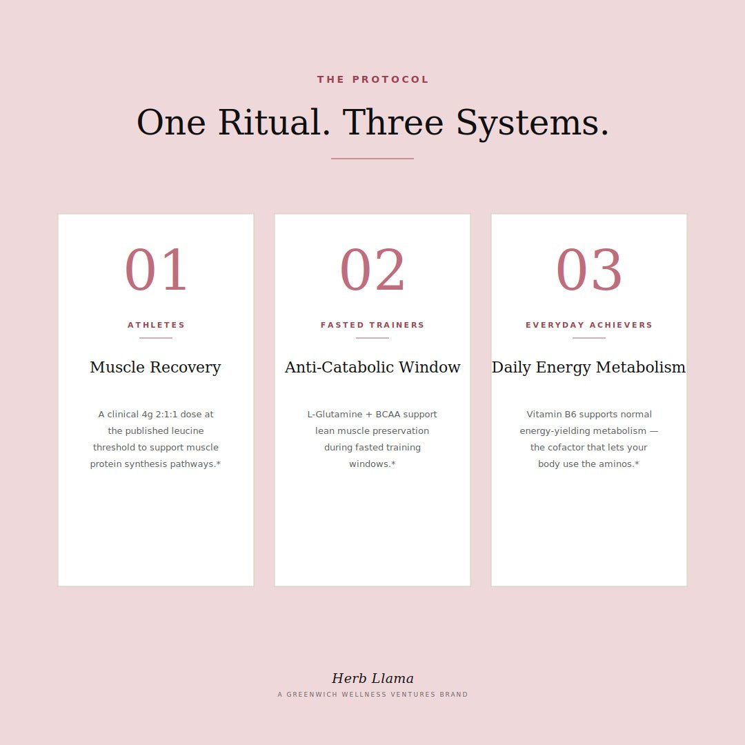 BCAA · Glutamine · Vitamin B6 | R&R: THE REBUILD & RETURN RITUAL™