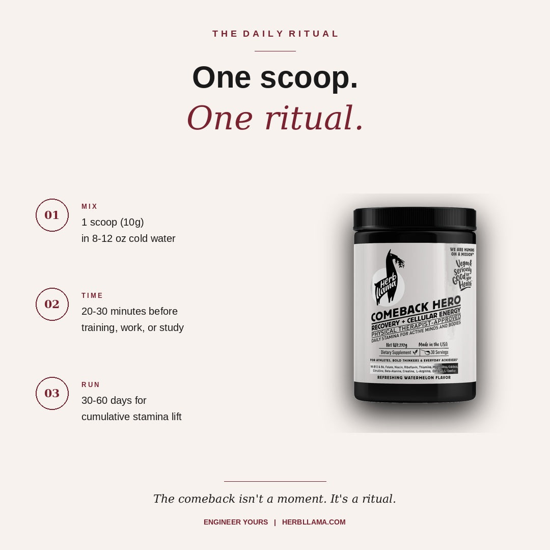 Nitric Oxide Booster & Pre-Workout with Creatine | COMEBACK HERO™