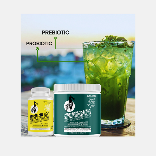 2-Piece Bloating Relief & Microbiome Bundle | GUT INTELLIGENCE PROTOCOL