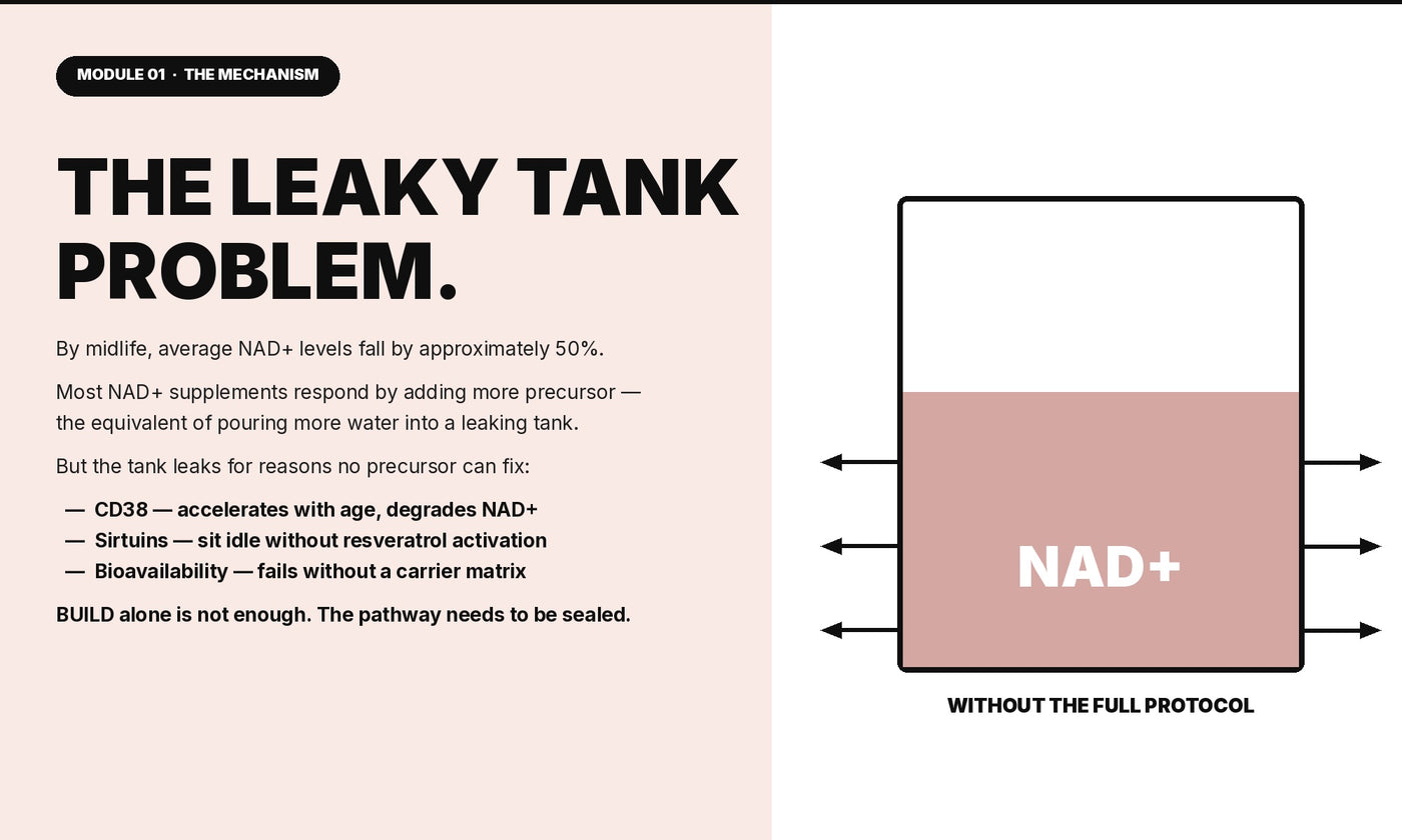 Diagram of The Leaky Tank Problem showing how CD38 enzymes degrade NAD+ levels and why building NAD+ alone is not enough without a full cellular protocol.