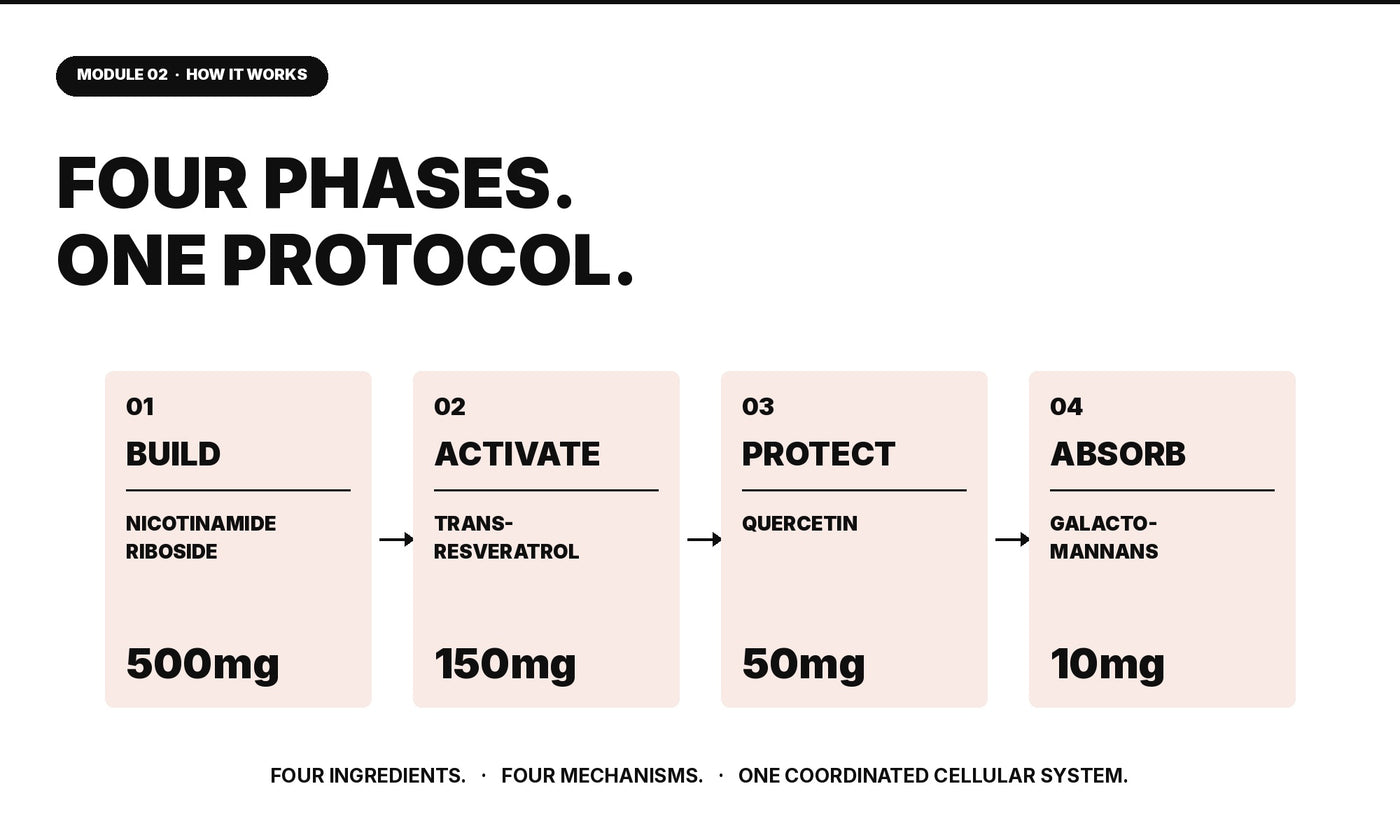 Herb Llama Four-Phase NAD+ Protocol: 500mg Nicotinamide Riboside (Build), 150mg Trans-Resveratrol (Activate), 50mg Quercetin (Protect), and 10mg Galactomannans (Absorb).