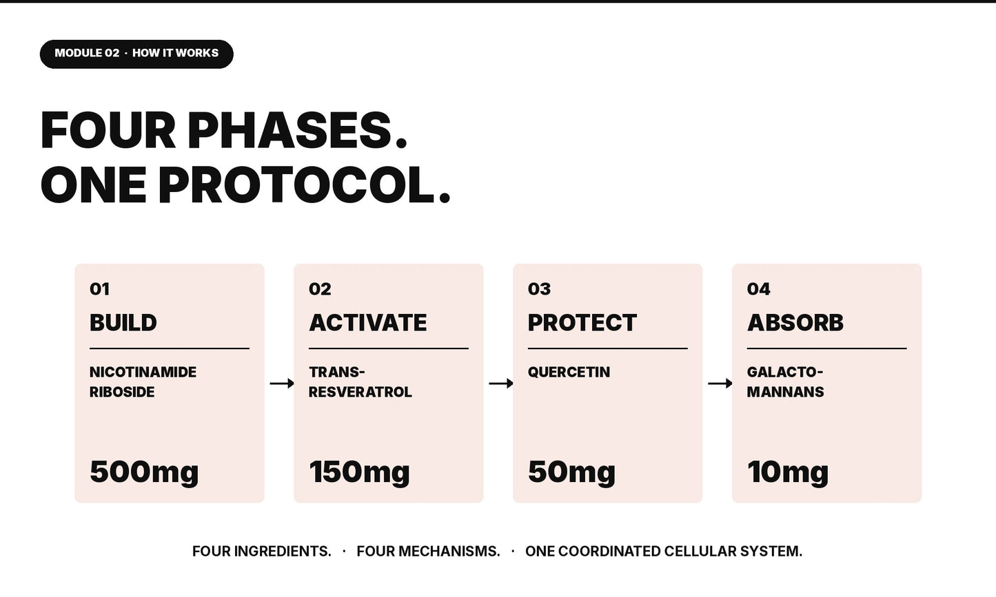 Herb Llama Four-Phase NAD+ Protocol: 500mg Nicotinamide Riboside (Build), 150mg Trans-Resveratrol (Activate), 50mg Quercetin (Protect), and 10mg Galactomannans (Absorb).