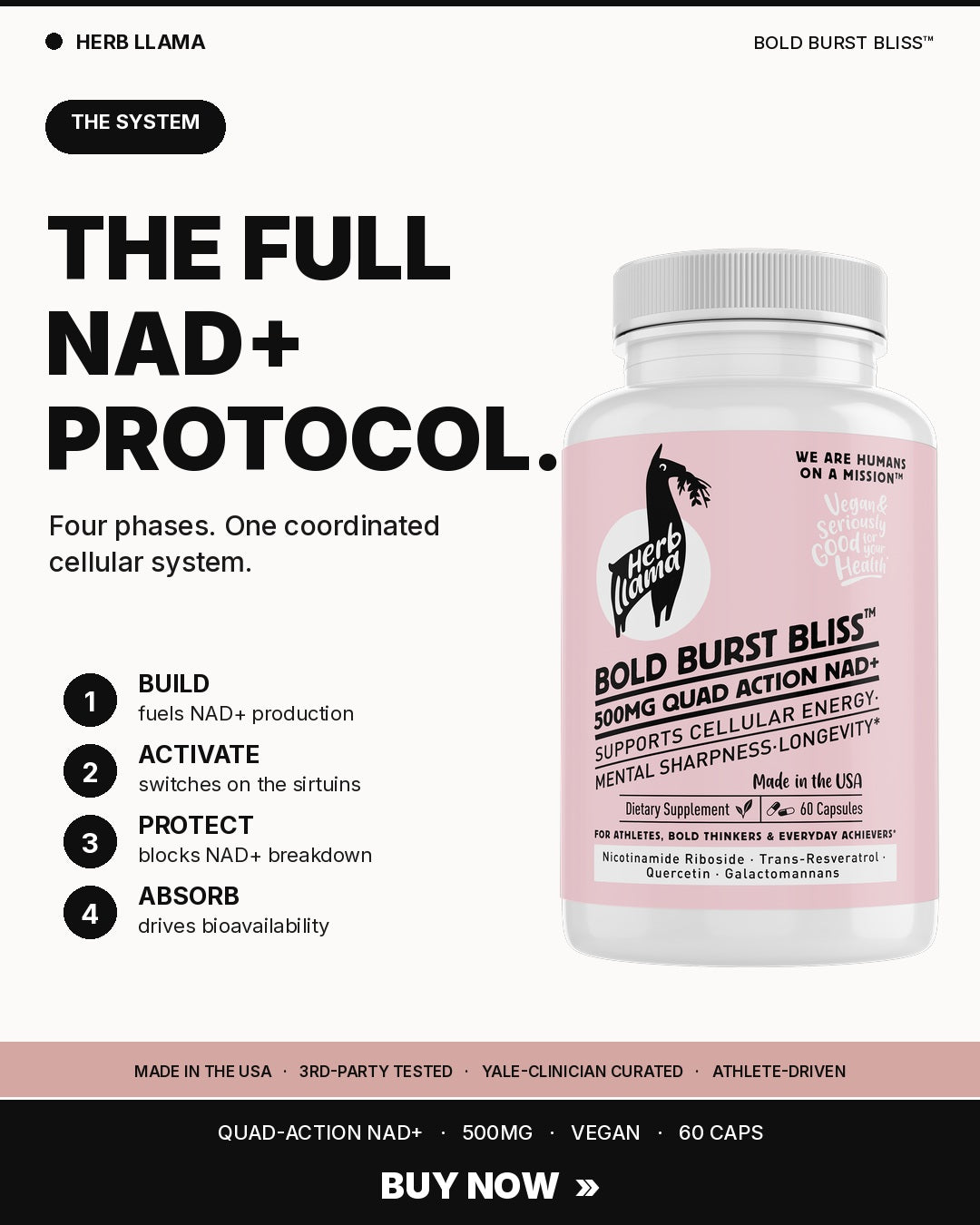 Herb Llama BOLD BURST BLISS NAD+ supplement bottle — 500mg quad-action formula with nicotinamide riboside, trans-resveratrol, quercetin and galactomannans for cellular energy, mitochondrial health, and longevity. 60 vegan capsules made in USA.