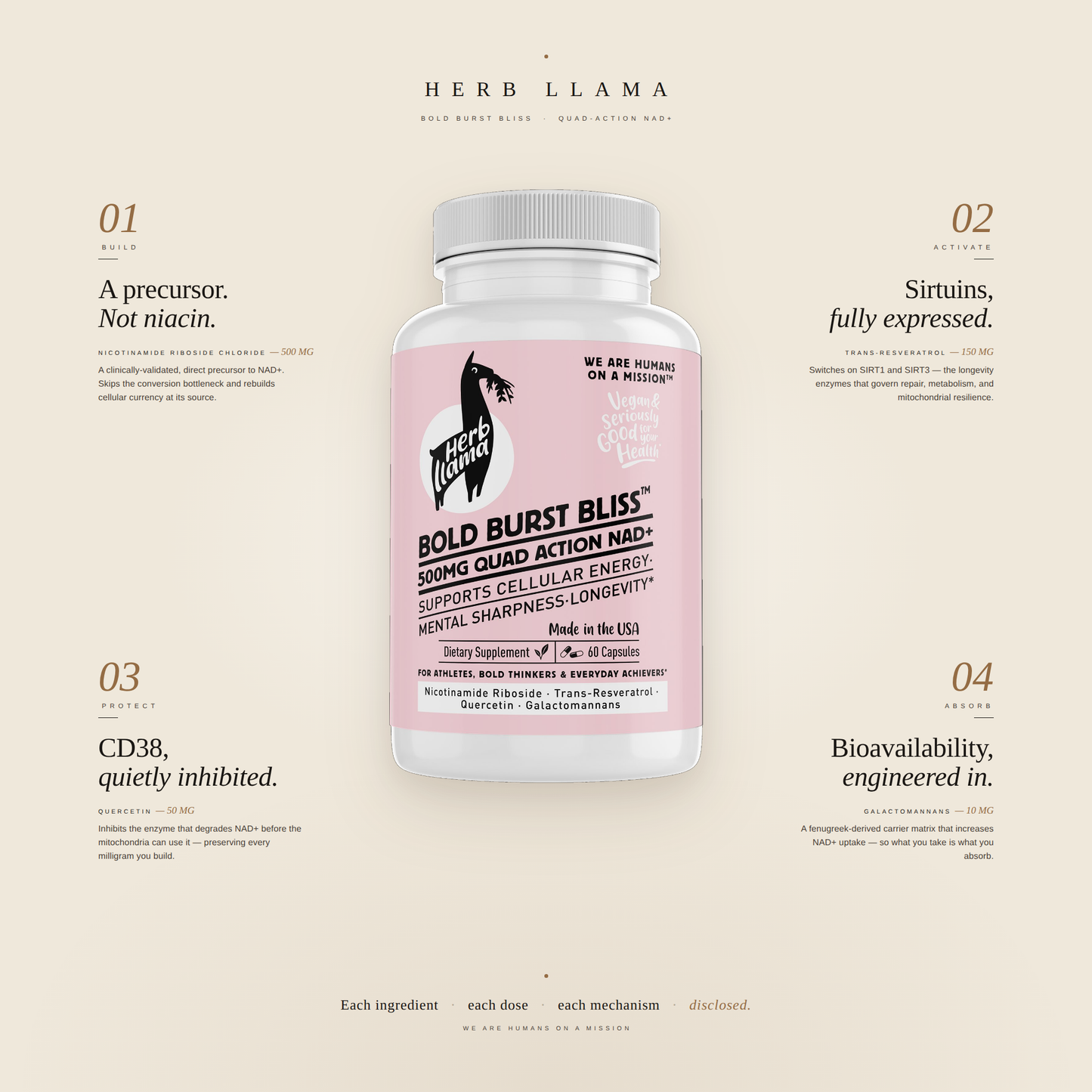 NAD+ & Resveratrol Quad-Action Protocol | BOLD BURST BLISS™
