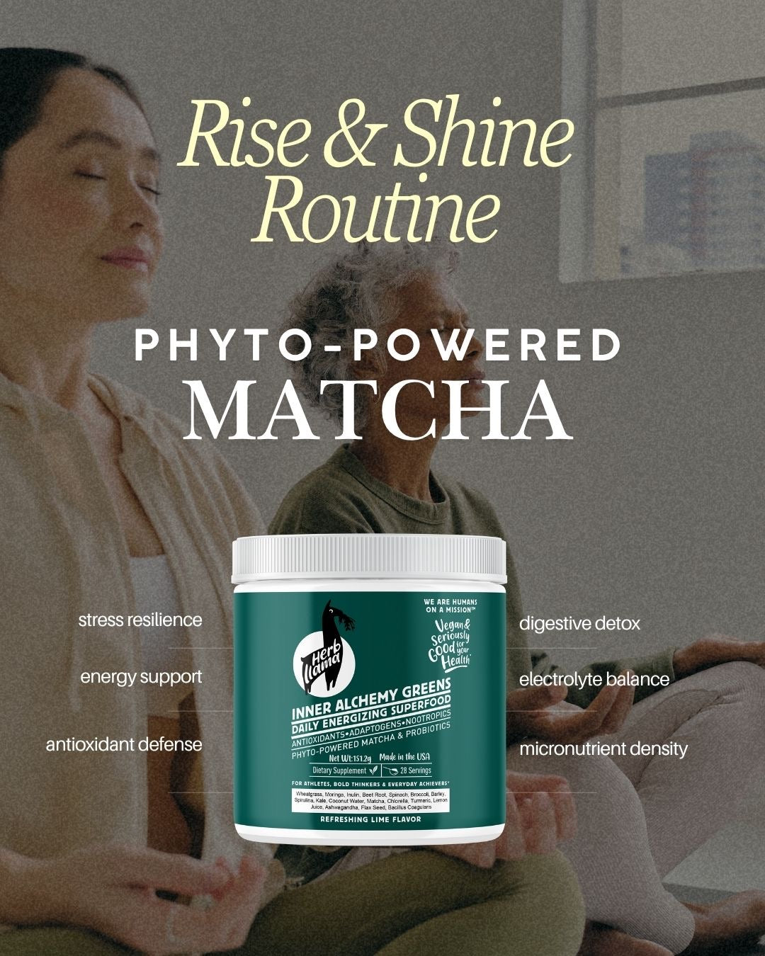INNER ALCHEMY GREENS™ – Matcha Superfood Powder with Probiotics