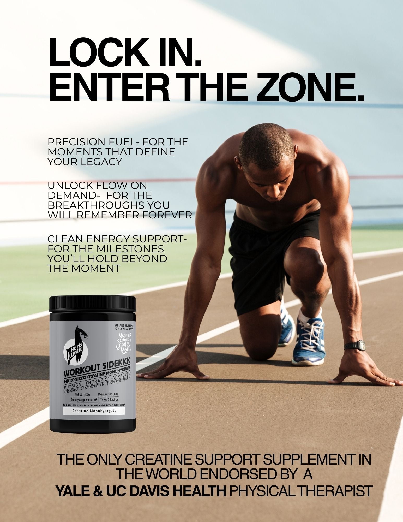 WORKOUT SIDEKICK -Micronized Creatine Monohydrate | Physical Therapist-Approved Clean Strength + Recovery Formula | 300 g, 60 servings