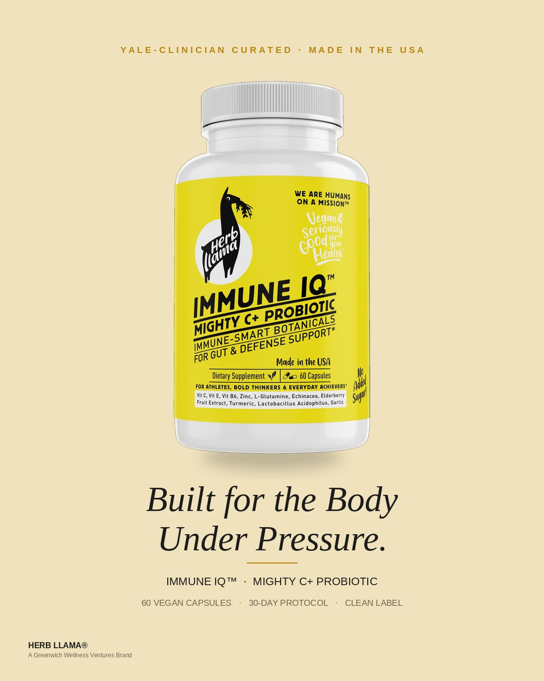 Probiotic Immune Support, Elderberry, Zinc, Vit C | IMMUNE IQ+™