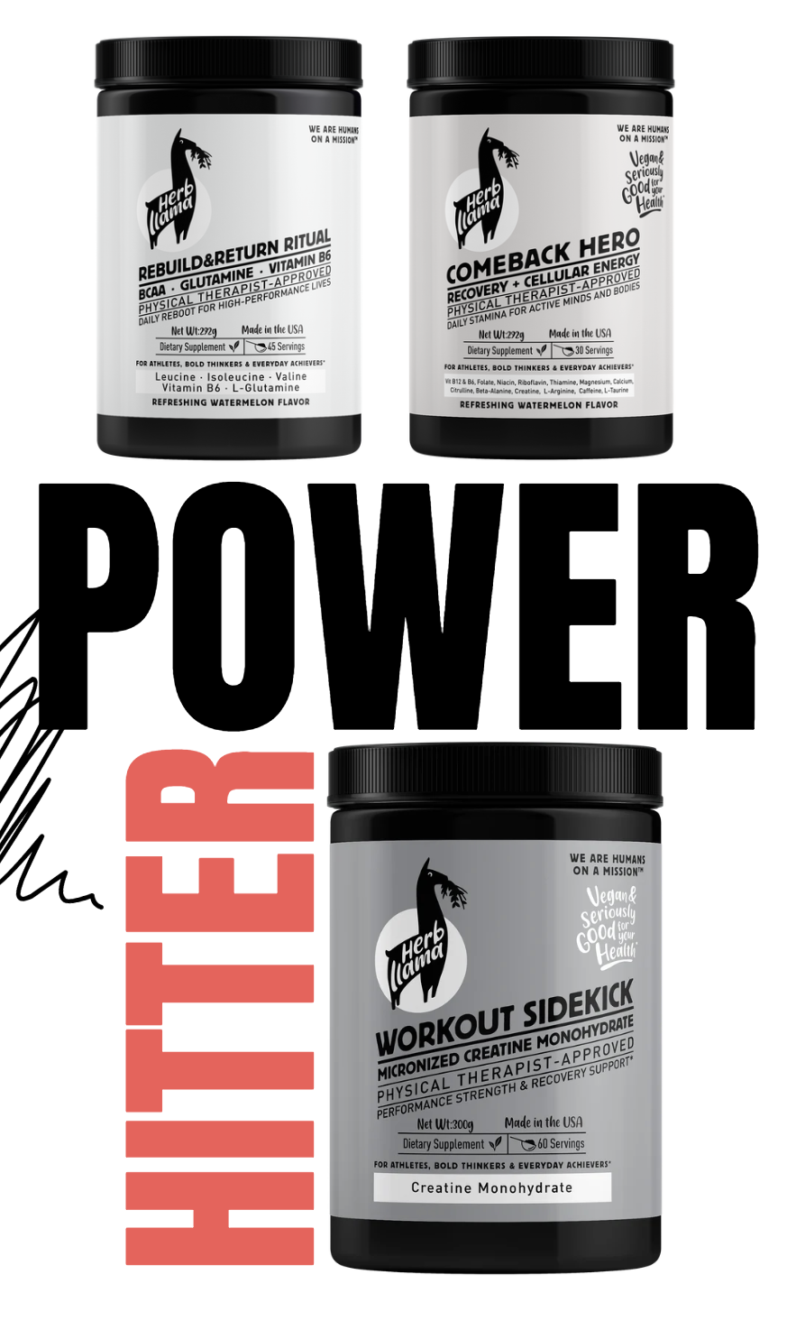 The Power<br>Hitter