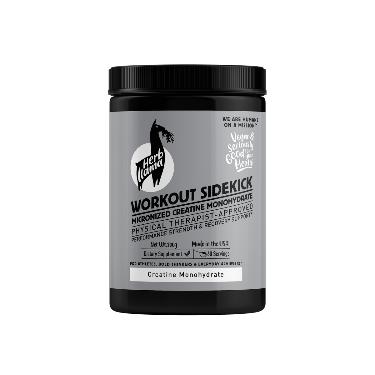 Micronized Creatine Monohydrate 5g | WORKOUT SIDEKICK™