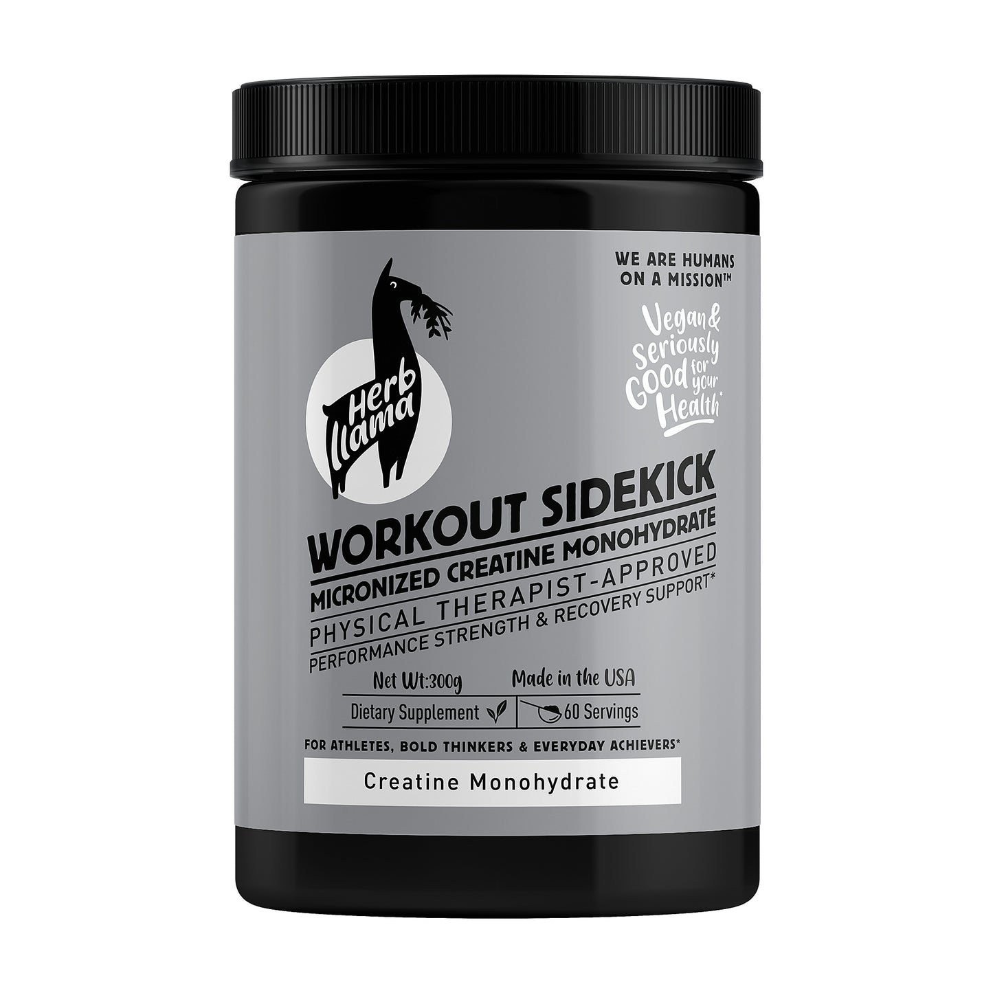 Micronized Creatine Monohydrate 5g | WORKOUT SIDEKICK™