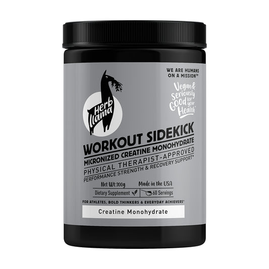 Micronized Creatine Monohydrate 5g | WORKOUT SIDEKICK™