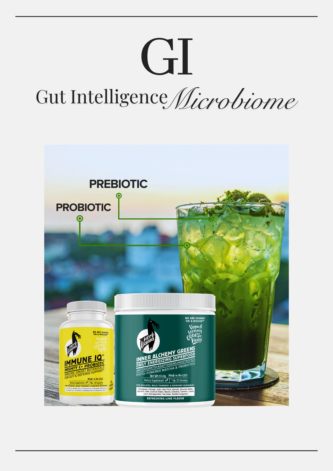 The GI Protocol Gut Microbiome Duo: A 2-piece supplement kit for bloating relief and digestive support featuring Inner Alchemy Supergreens prebiotics and Immune IQ+ probiotics