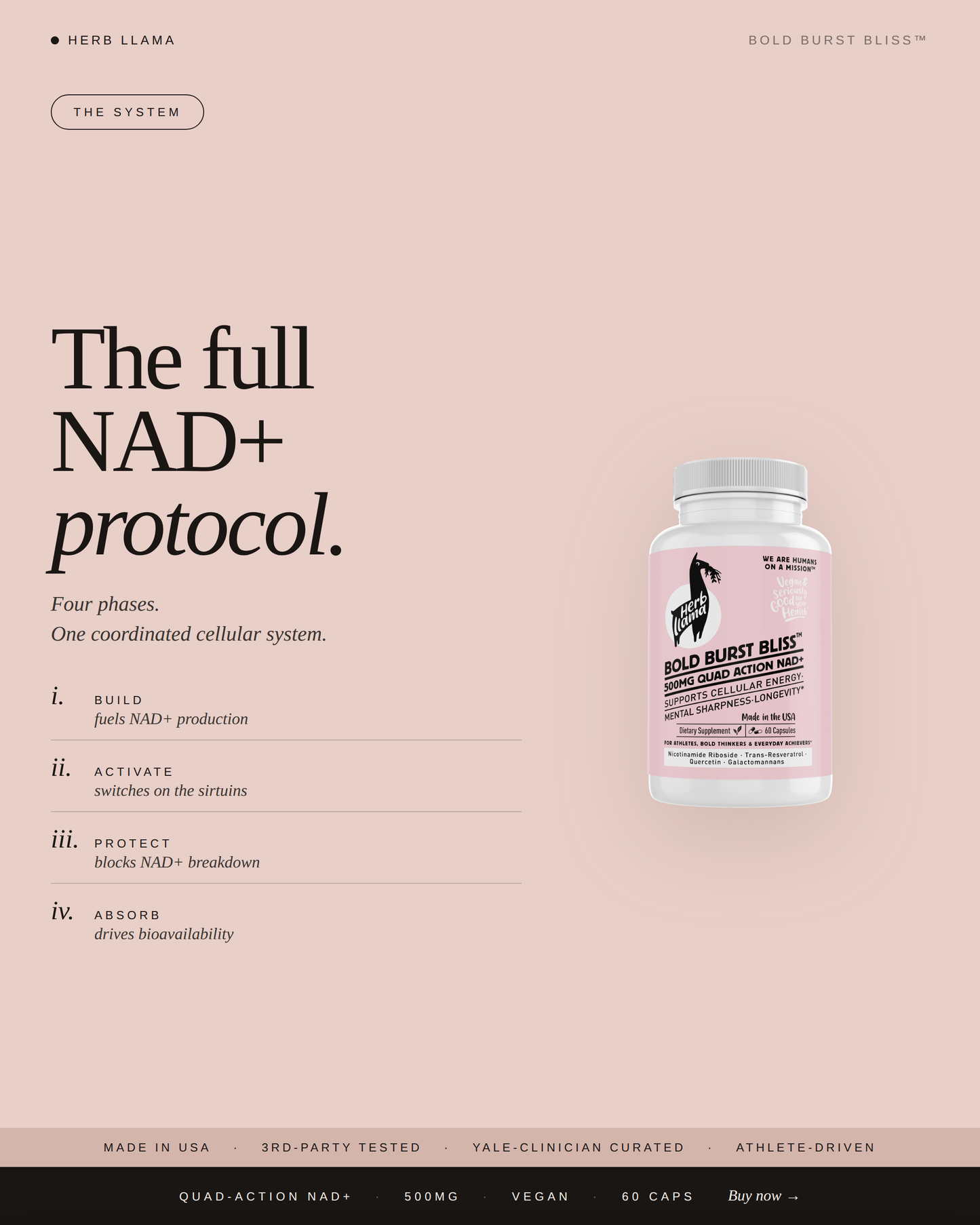 NAD+ & Resveratrol Quad-Action Protocol | BOLD BURST BLISS™
