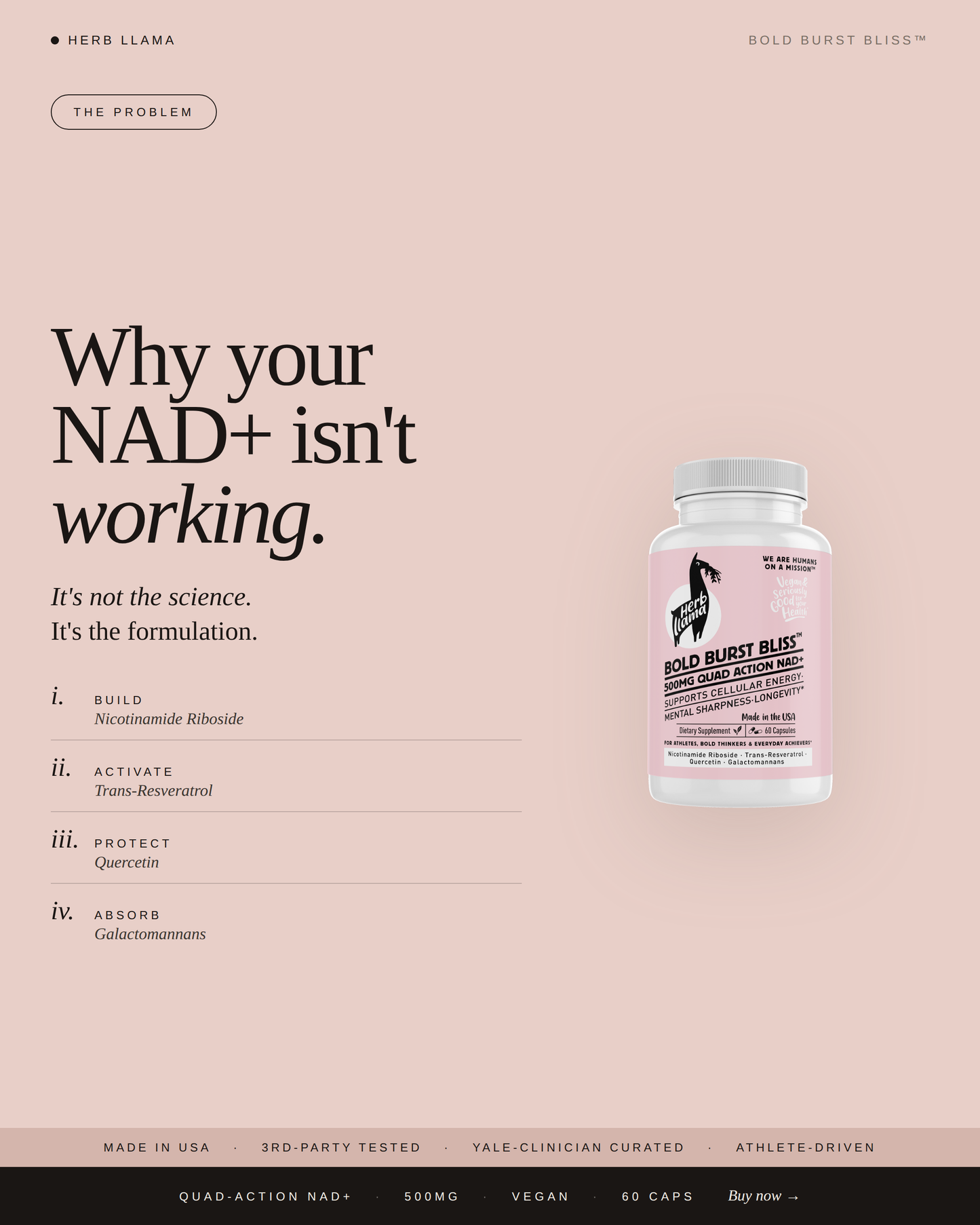 NAD+ & Resveratrol Quad-Action Protocol | BOLD BURST BLISS™